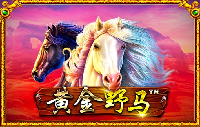 6686app