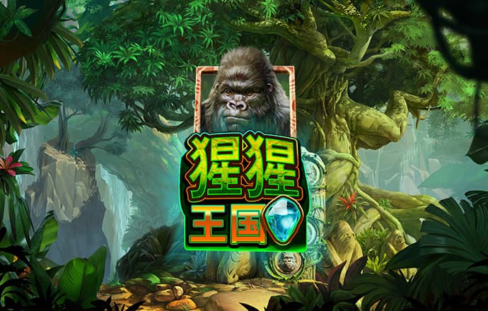 bibo必博体育下载